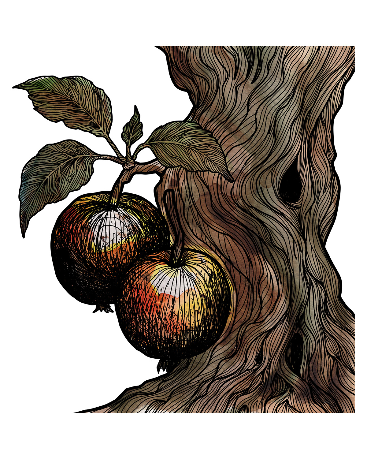 Äpple — detalj