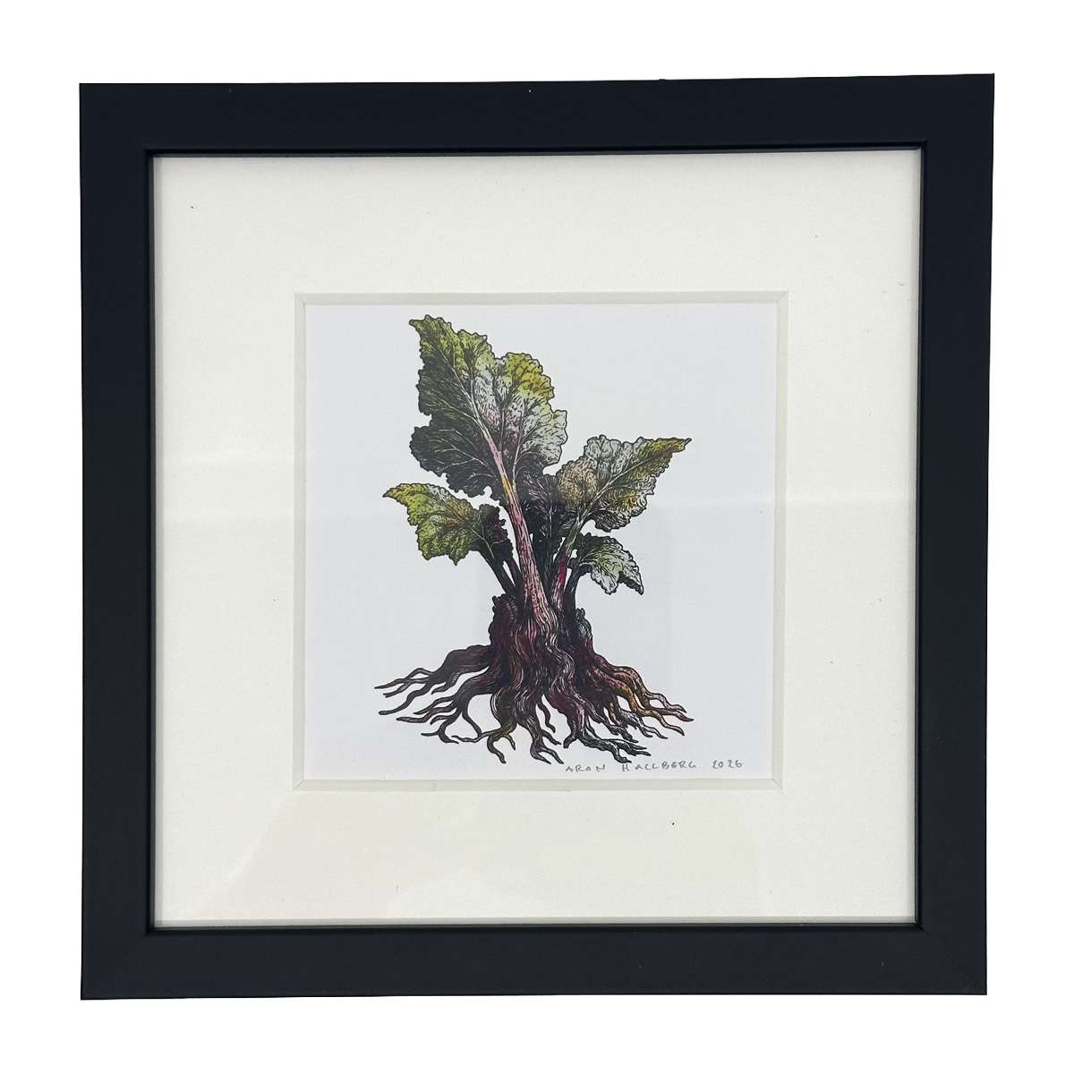 Rabarber — print